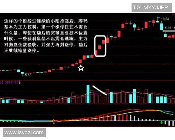 深度分析北京乒乓球队防反打法的战术特点与实战应用